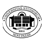 Државни универзитет, Нови Пазар